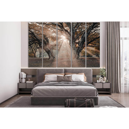 Trees In The Sunbeams №SL802 Ready to Hang Canvas Print - Zellart Canvas Prints 0new, ALL_Products, Trees Wall Art