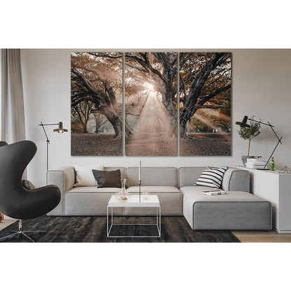 Trees In The Sunbeams №SL802 Ready to Hang Canvas Print - Zellart Canvas Prints 0new, ALL_Products, Trees Wall Art