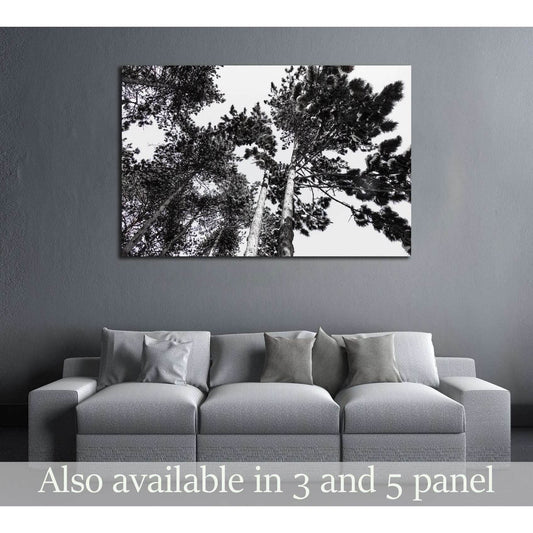 Treetop covered with snow №2837 Ready to Hang Canvas Print - Zellart Canvas Prints ALL_Products, s-2837