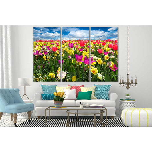 Tulip And Daffodil Field №SL687 Ready to Hang Canvas Print - Zellart Canvas Prints 0new, ALL_Products, Floral & Botanical Wall Art