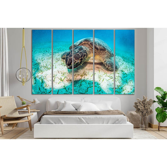 Turtle Underwater World Close Up №SL1055 Ready to Hang Canvas Print - Zellart Canvas Prints 0new, ALL_Products, Animals & Wildlife