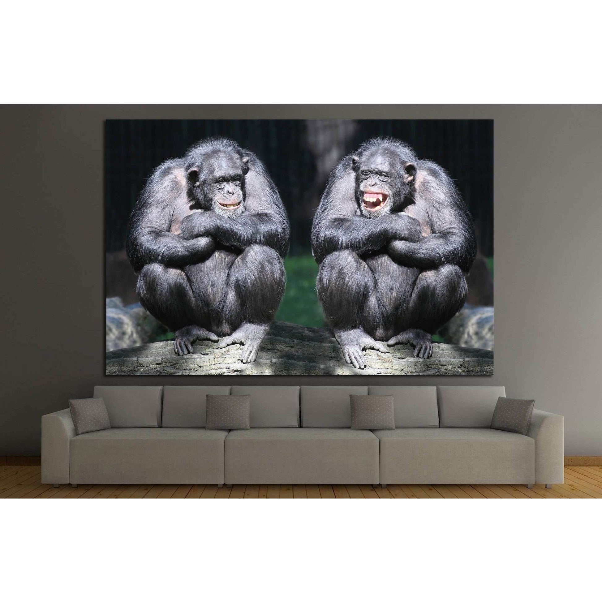 Two chimpanzees have a fun №1114 Ready to Hang Canvas Print - Zellart Canvas Prints ALL_Products, s-1114