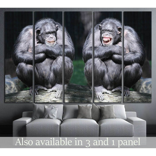 Two chimpanzees have a fun №1114 Ready to Hang Canvas Print - Zellart Canvas Prints ALL_Products, s-1114
