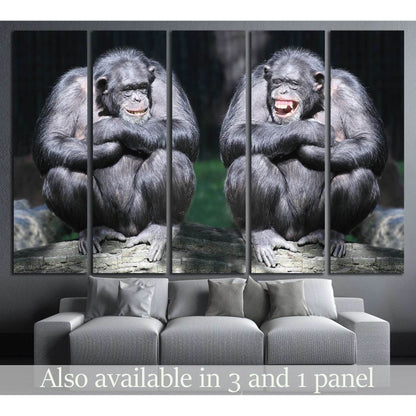 Two chimpanzees have a fun №1114 Ready to Hang Canvas PrintCanvas art arrives ready to hang, with hanging accessories included and no additional framing required. Every canvas print is hand-crafted, made on-demand at our workshop and expertly stretched ar