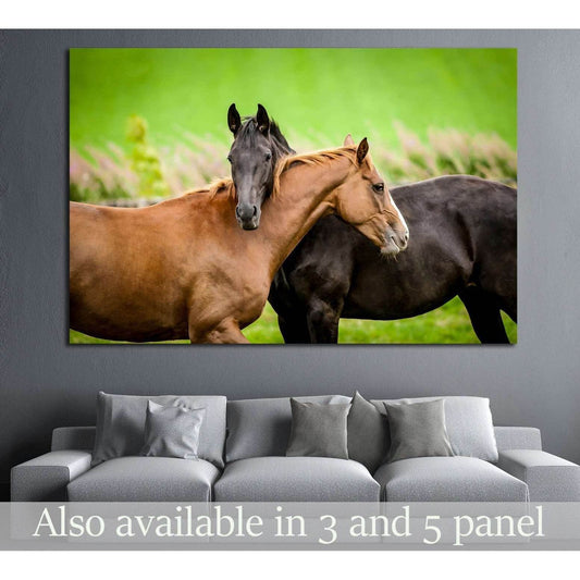 Two horses embracing in friendship №1853 Ready to Hang Canvas Print - Zellart Canvas Prints ALL_Products, Horses, s-1853