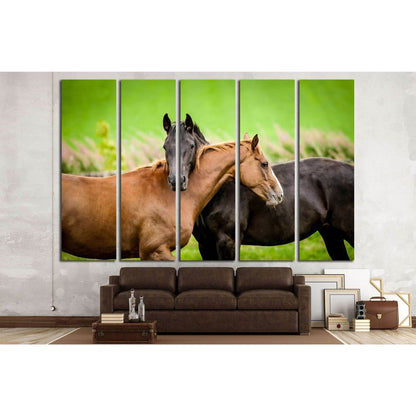 Two horses embracing in friendship №1853 Ready to Hang Canvas Print - Zellart Canvas Prints ALL_Products, Horses, s-1853