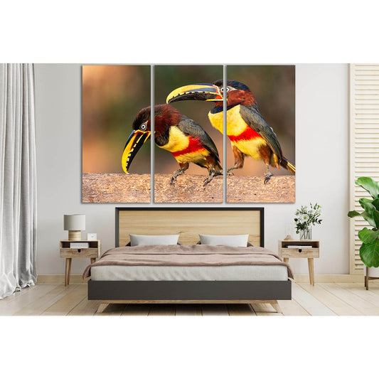 Two Pretty Toucans №SL1044 Ready to Hang Canvas Print - Zellart Canvas Prints 0new, ALL_Products, Animals & Wildlife