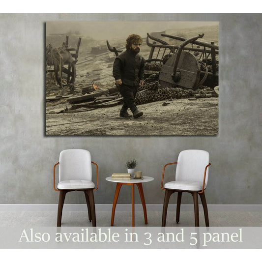 Tyrion Lannister №3345 Ready to Hang Canvas Print - Zellart Canvas Prints ALL_Products, s-3345