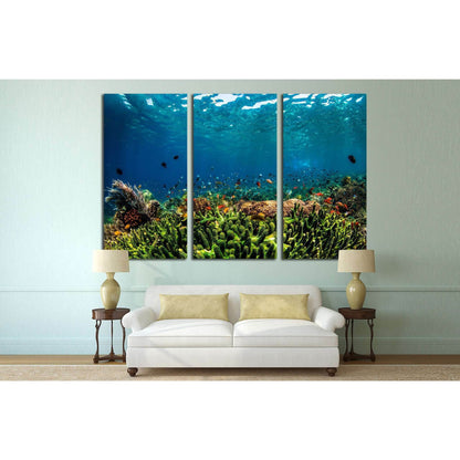 Underwater Fauna №515 Ready to Hang Canvas Print - Zellart Canvas Prints ALL_Products, s-515