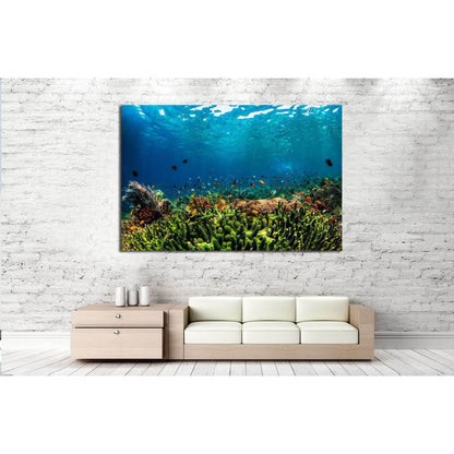 Underwater Fauna №515 Ready to Hang Canvas PrintCanvas art arrives ready to hang, with hanging accessories included and no additional framing required. Every canvas print is hand-crafted, made on-demand at our workshop and expertly stretched around 100% N