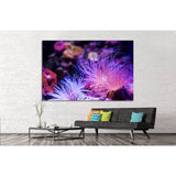 Underwater World, Coral Reef №1421 Ready to Hang Canvas Print