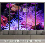 Underwater World, Coral Reef №1421 Ready to Hang Canvas Print