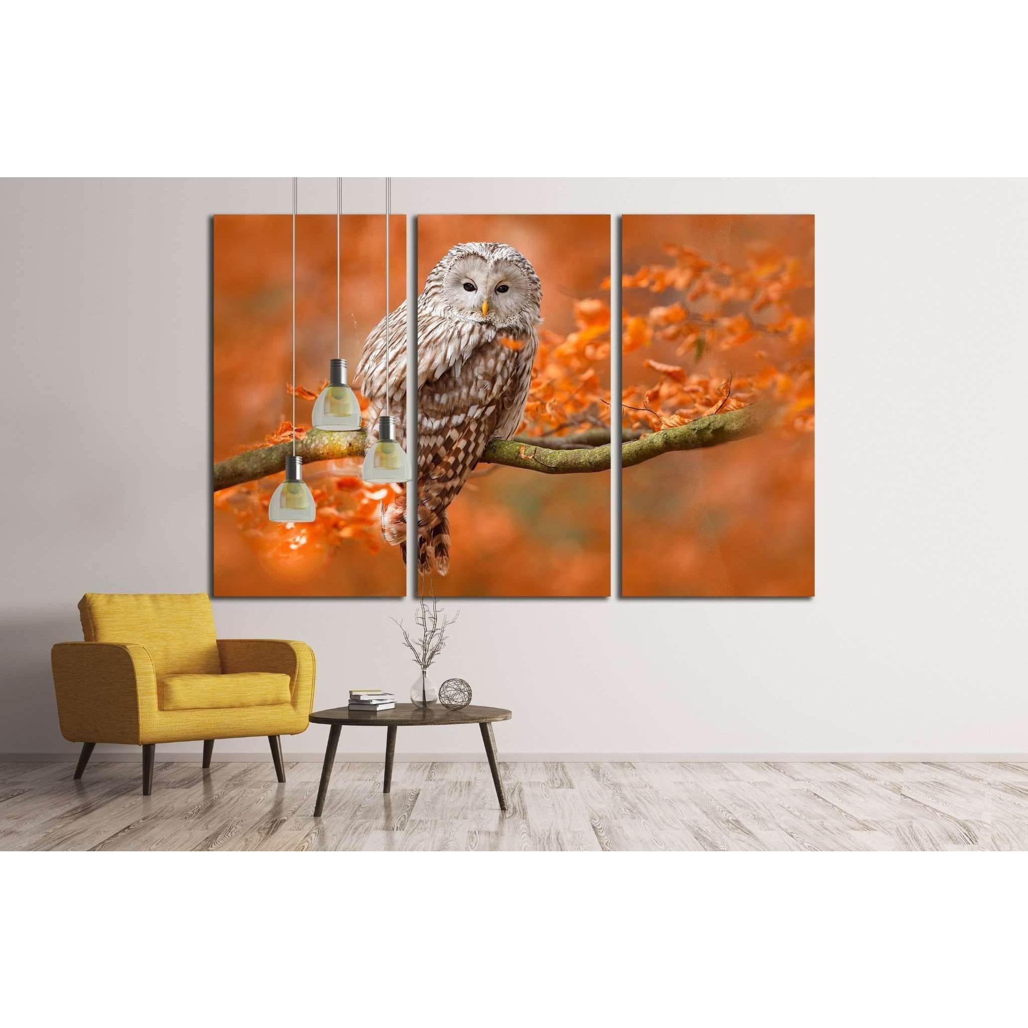 Ural Owl, Strix uralensis, sitting on tree branch, Sweden №1857 Ready to Hang Canvas Print
