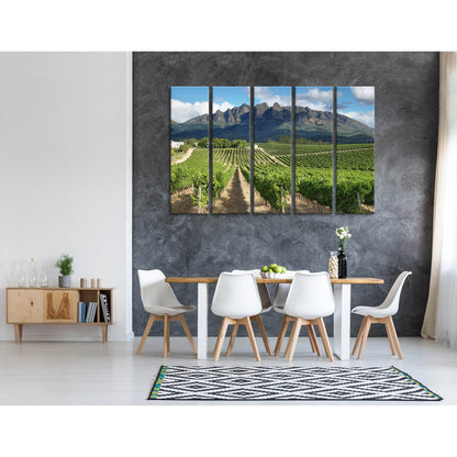 Vineyards Landscape Near Wellington, South Africa №04212 Ready to Hang Canvas Print - Zellart Canvas Prints ALL_Products