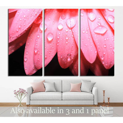 Water drop on flower petal №3026 Ready to Hang Canvas PrintCanvas art arrives ready to hang, with hanging accessories included and no additional framing required. Every canvas print is hand-crafted, made on-demand at our workshop and expertly stretched ar