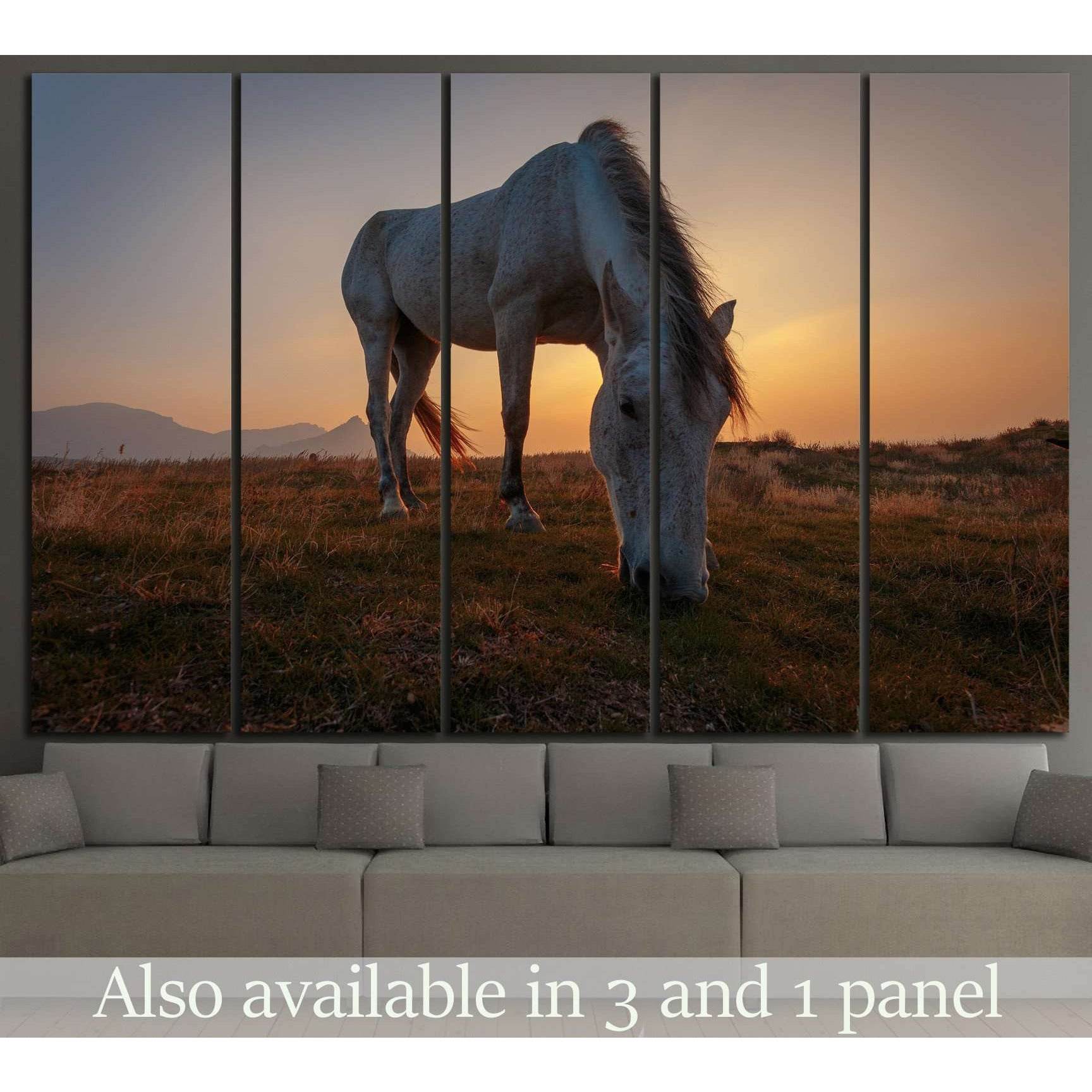 White horse on pasture №1116 Ready to Hang Canvas Print - Zellart Canvas Prints ALL_Products, Horses, s-1116