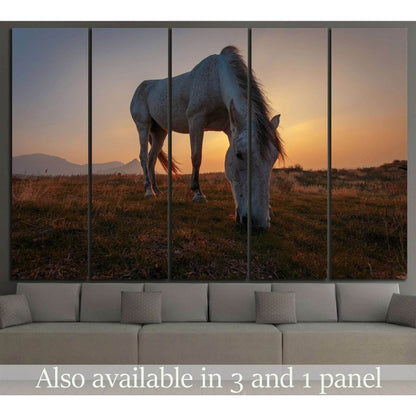 White horse on pasture №1116 Ready to Hang Canvas Print - Zellart Canvas Prints ALL_Products, Horses, s-1116