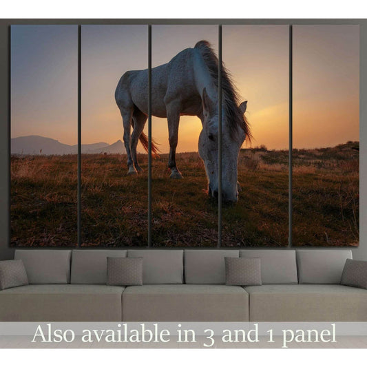 White horse on pasture №1116 Ready to Hang Canvas Print - Zellart Canvas Prints ALL_Products, Horses, s-1116