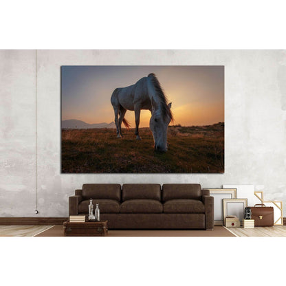 White horse on pasture №1116 Ready to Hang Canvas Print - Zellart Canvas Prints ALL_Products, Horses, s-1116