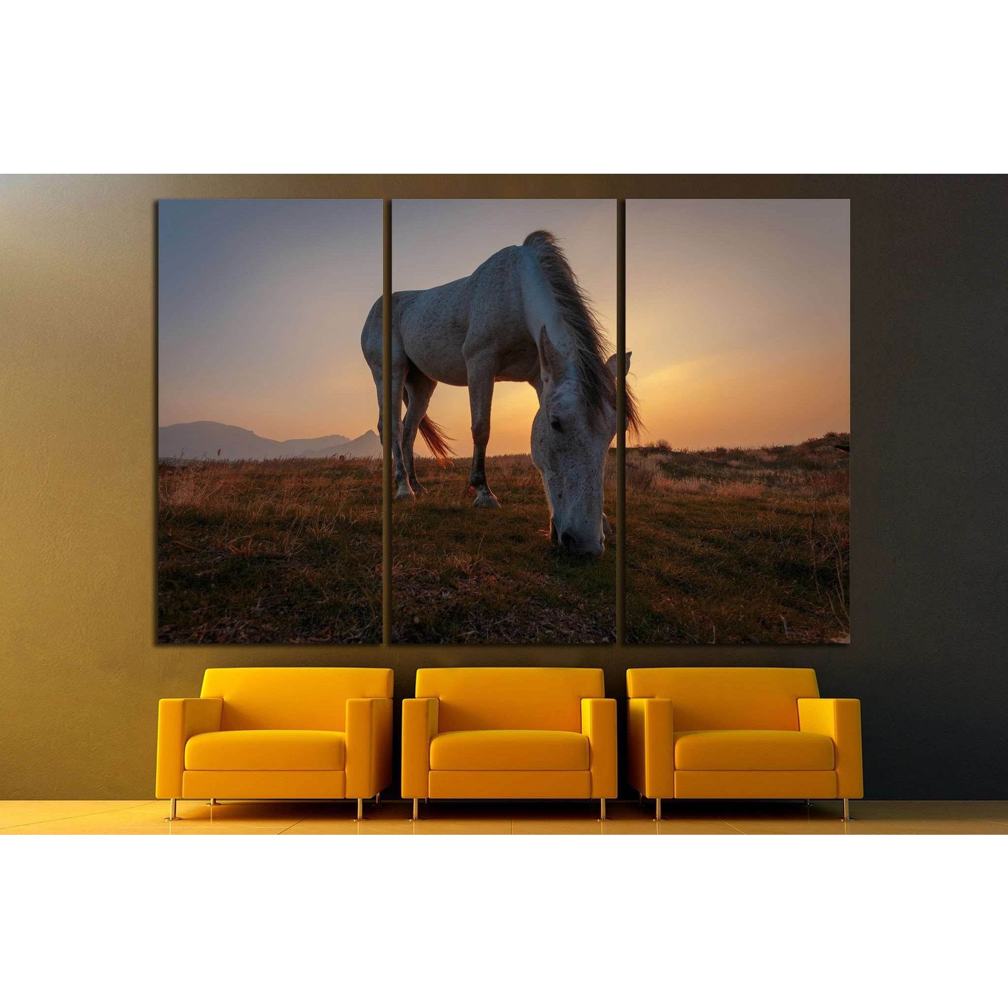 White horse on pasture №1116 Ready to Hang Canvas Print