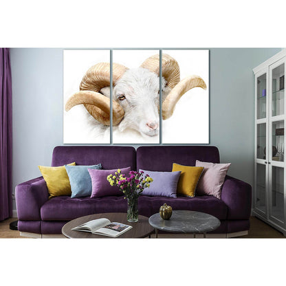 White Ram Close Up №SL997 Ready to Hang Canvas Print - Zellart Canvas Prints 0new, ALL_Products, Animals & Wildlife