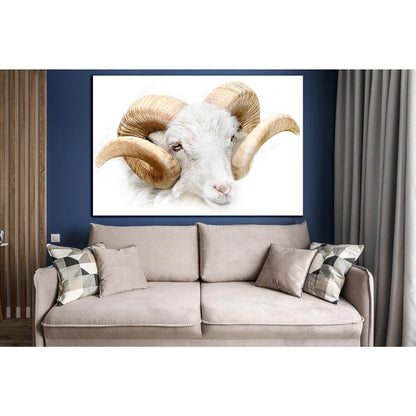 White Ram Close Up №SL997 Ready to Hang Canvas Print - Zellart Canvas Prints 0new, ALL_Products, Animals & Wildlife