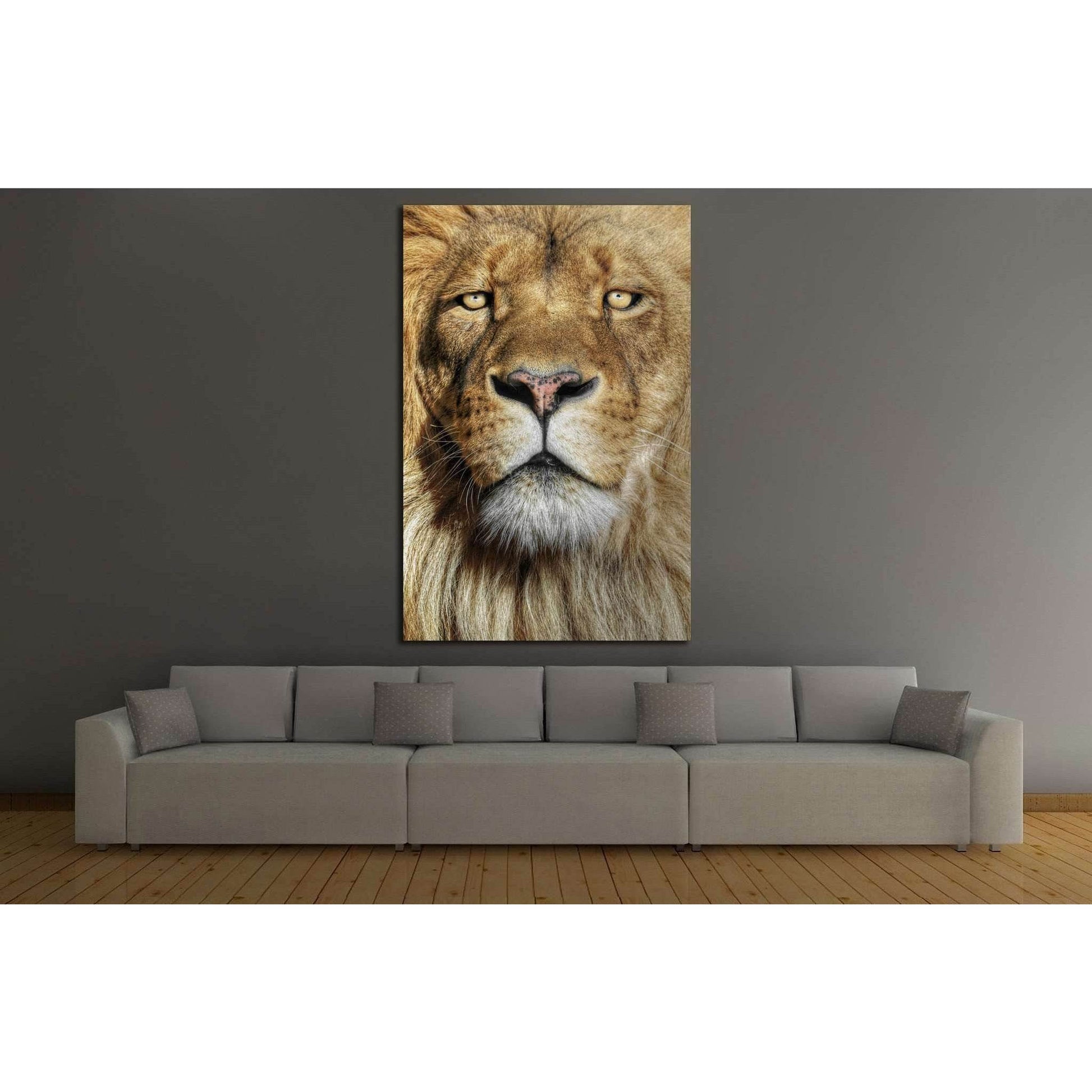 Wild Lion №190 Ready to Hang Canvas Print - Zellart Canvas Prints ALL_Products, Lion, wd-190