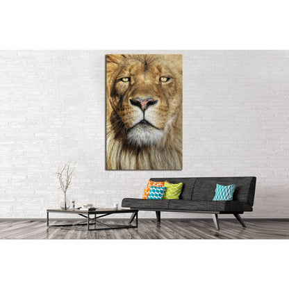 Wild Lion №190 Ready to Hang Canvas Print - Zellart Canvas Prints ALL_Products, Lion, wd-190