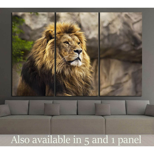 Wild Lion №186 Ready to Hang Canvas PrintCanvas art arrives ready to hang, with hanging accessories included and no additional framing required. Every canvas print is hand-crafted, made on-demand at our workshop and expertly stretched around 100% North Am