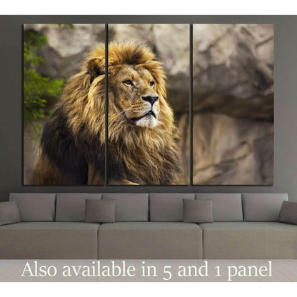 Wild Lion №186 Ready to Hang Canvas PrintCanvas art arrives ready to hang, with hanging accessories included and no additional framing required. Every canvas print is hand-crafted, made on-demand at our workshop and expertly stretched around 100% North Am