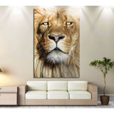 Wild Lion №190 Ready to Hang Canvas Print
