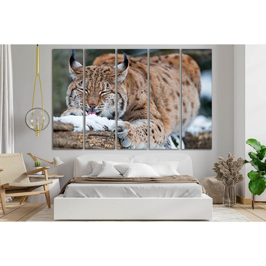 Wild Lynx On A Log №SL998 Ready to Hang Canvas Print - Zellart Canvas Prints 0new, ALL_Products, Animals & Wildlife