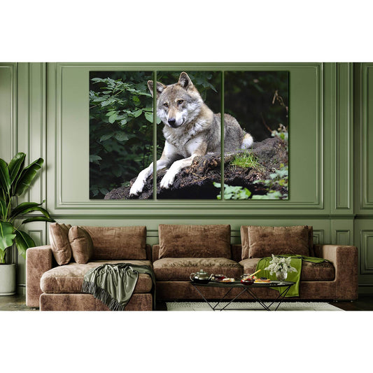 Wolf On A Stone №SL1002 Ready to Hang Canvas Print - Zellart Canvas Prints 0new, ALL_Products, Animals & Wildlife