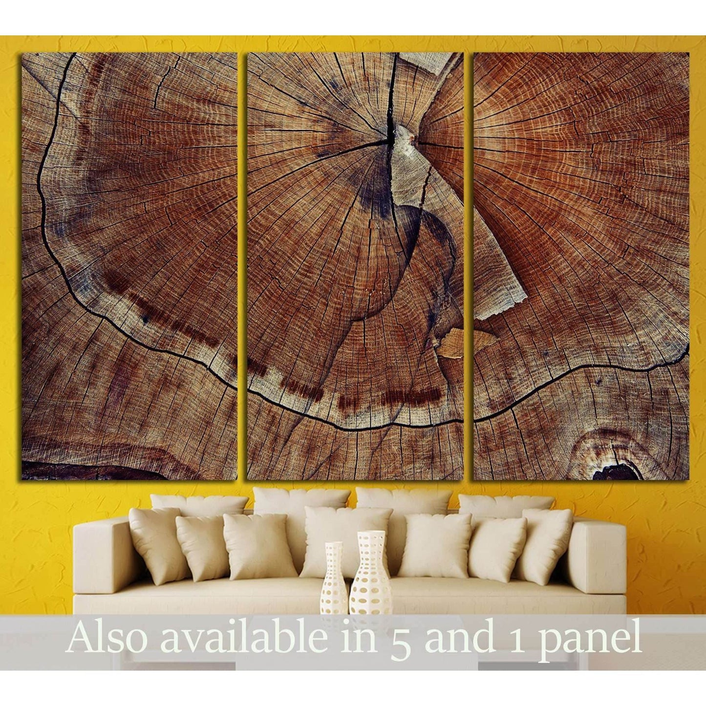 Tree Ring Detail Canvas Print for Rustic Home DecorThis canvas print features a close-up of a tree's annual rings, offering a detailed and natural texture that would add an earthy and organic element to spaces such as a study, library, or any area with a
