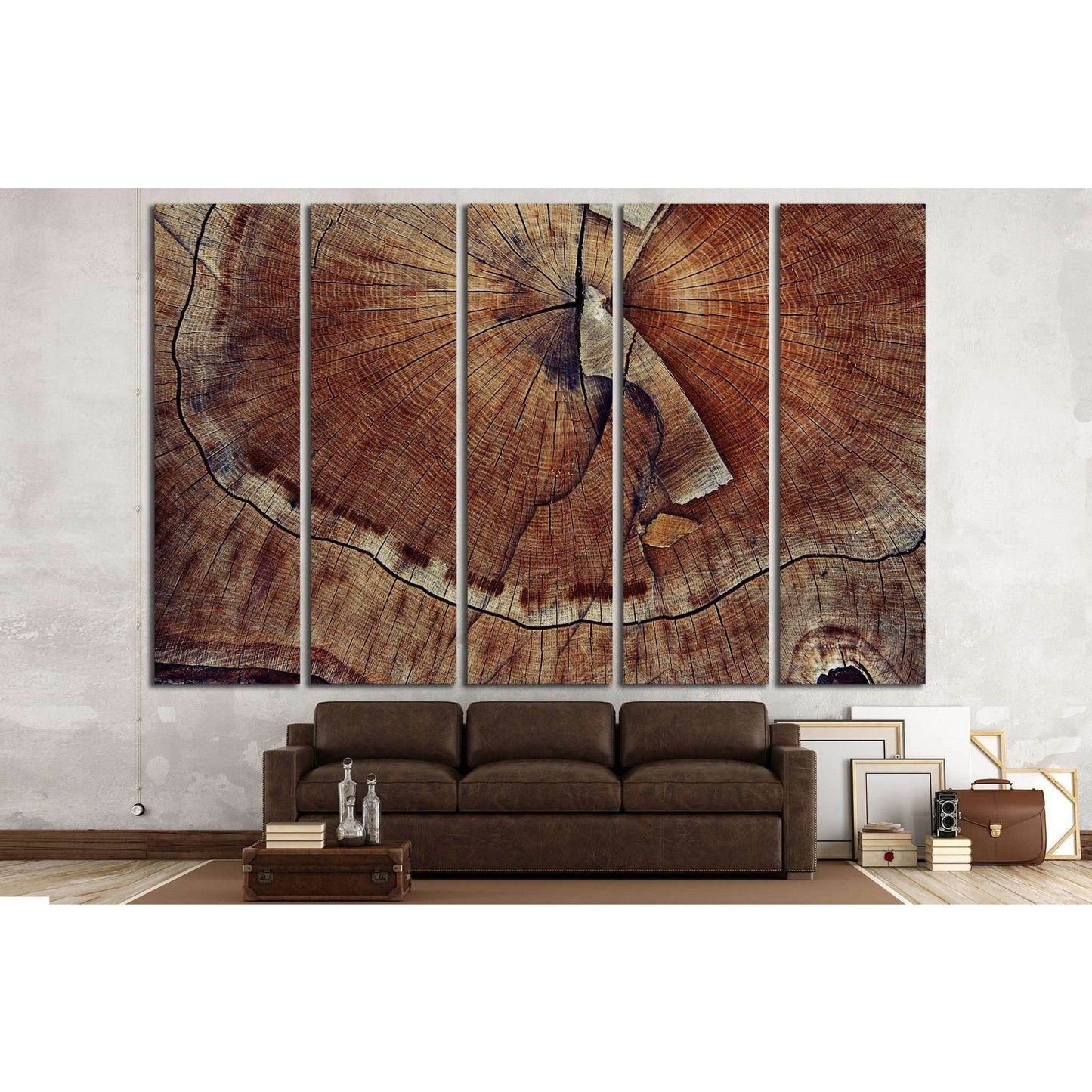 Tree Ring Detail Canvas Print for Rustic Home DecorThis canvas print features a close-up of a tree's annual rings, offering a detailed and natural texture that would add an earthy and organic element to spaces such as a study, library, or any area with a