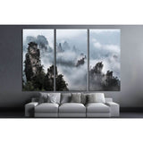 Wulingyuan national forest park in Hunan province, China №1993 Ready to Hang Canvas Print